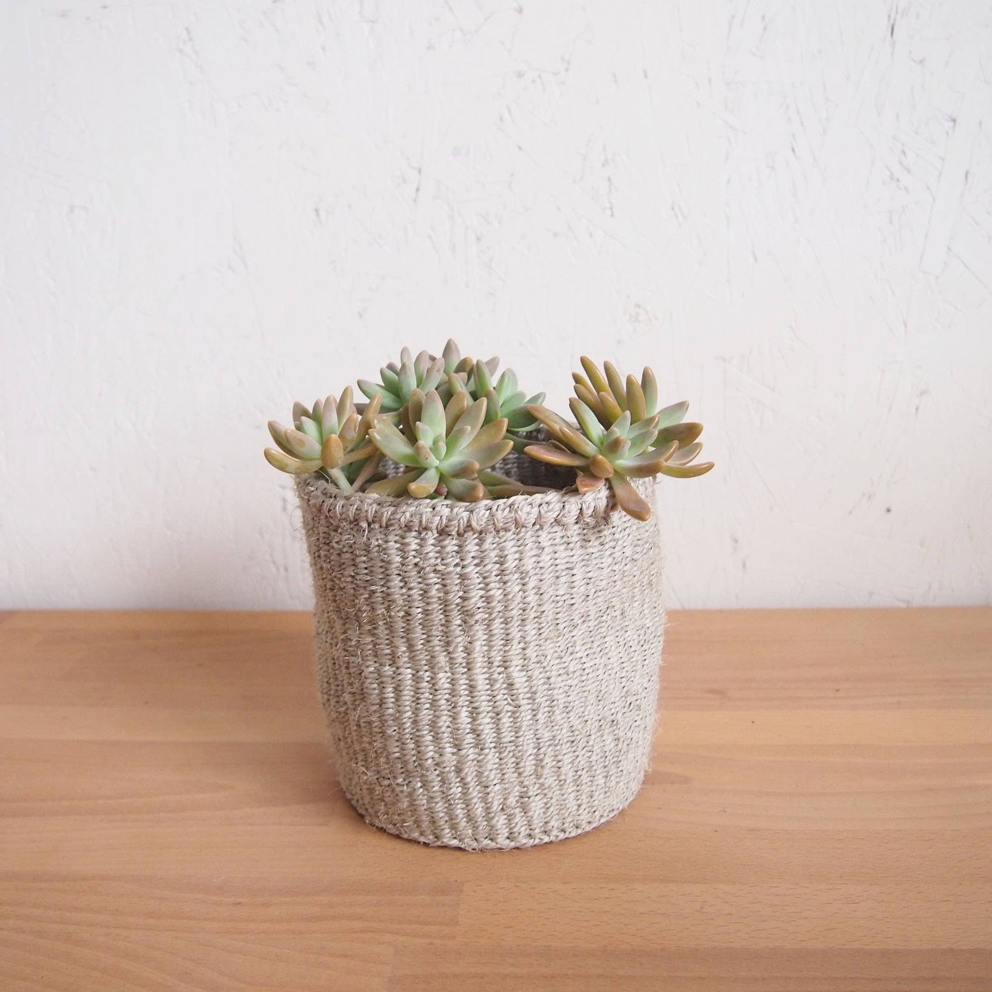 Storage Plant Basket: Cliffs: XXS