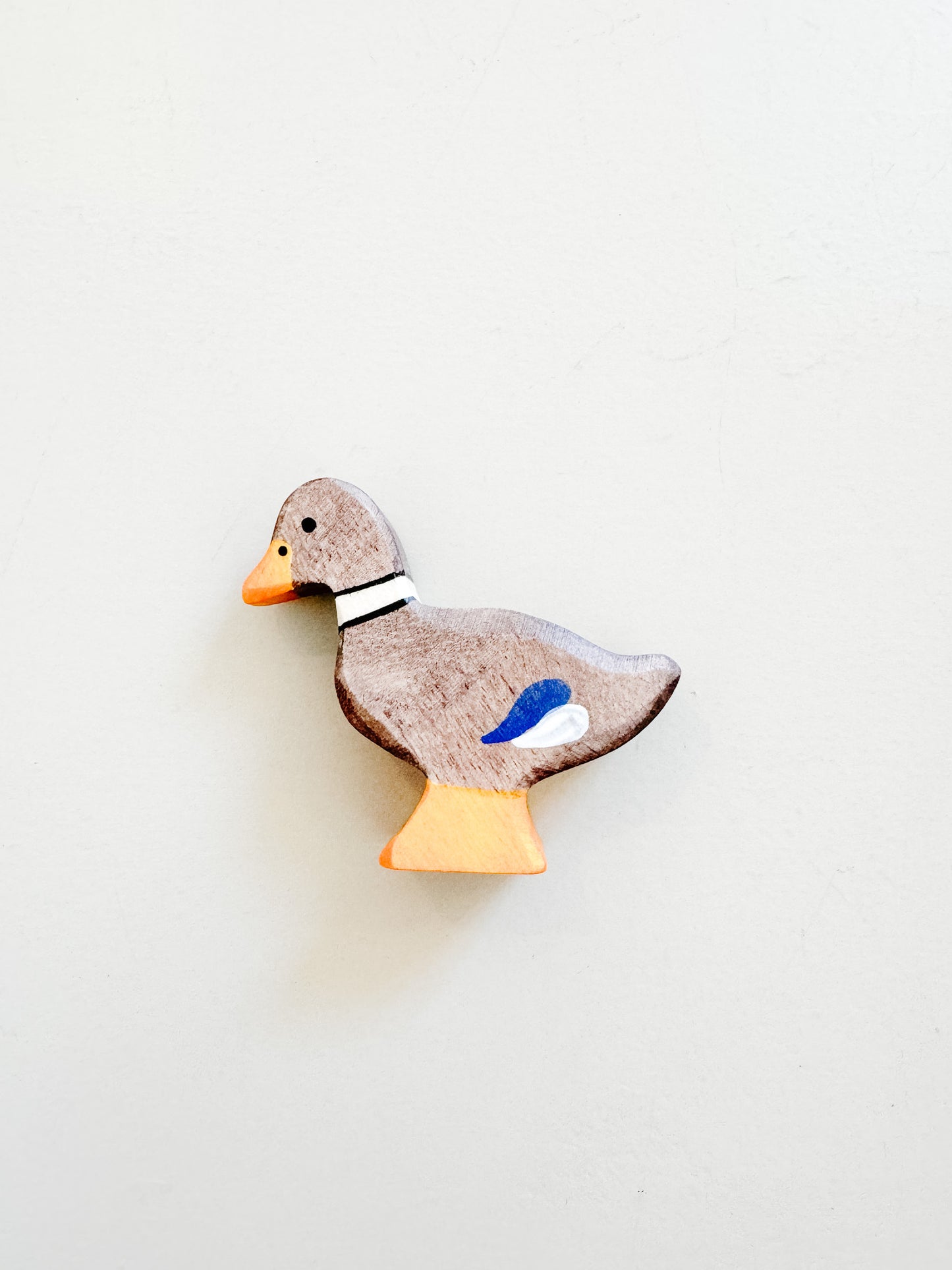 Duck