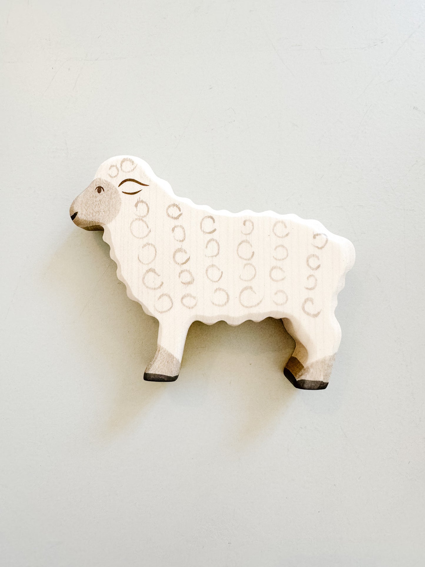 Sheep