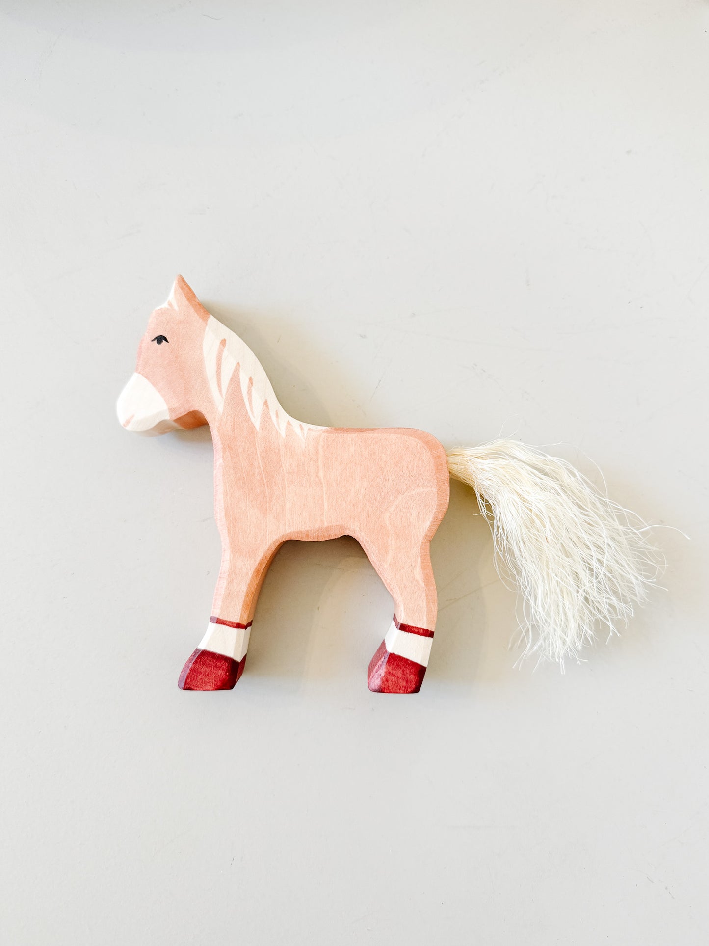 Foal