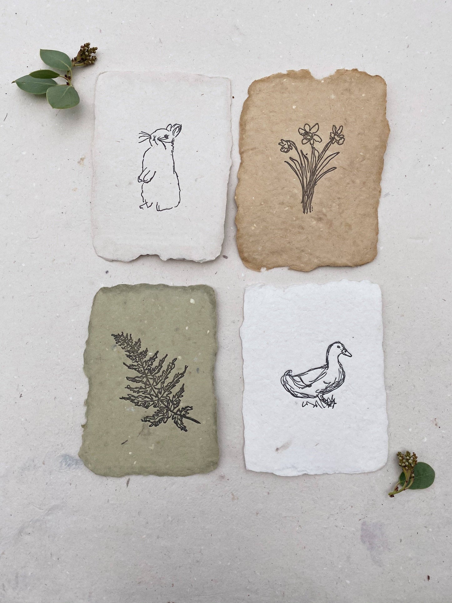 Duck note card