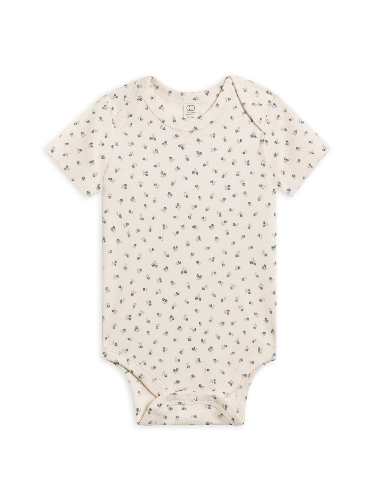 Organic Baby Afton Bodysuit - Minny Floral / Mist: 18-24M