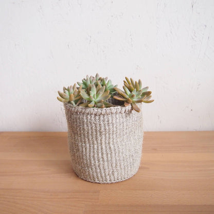 Storage Plant Basket: Cliffs: XXS