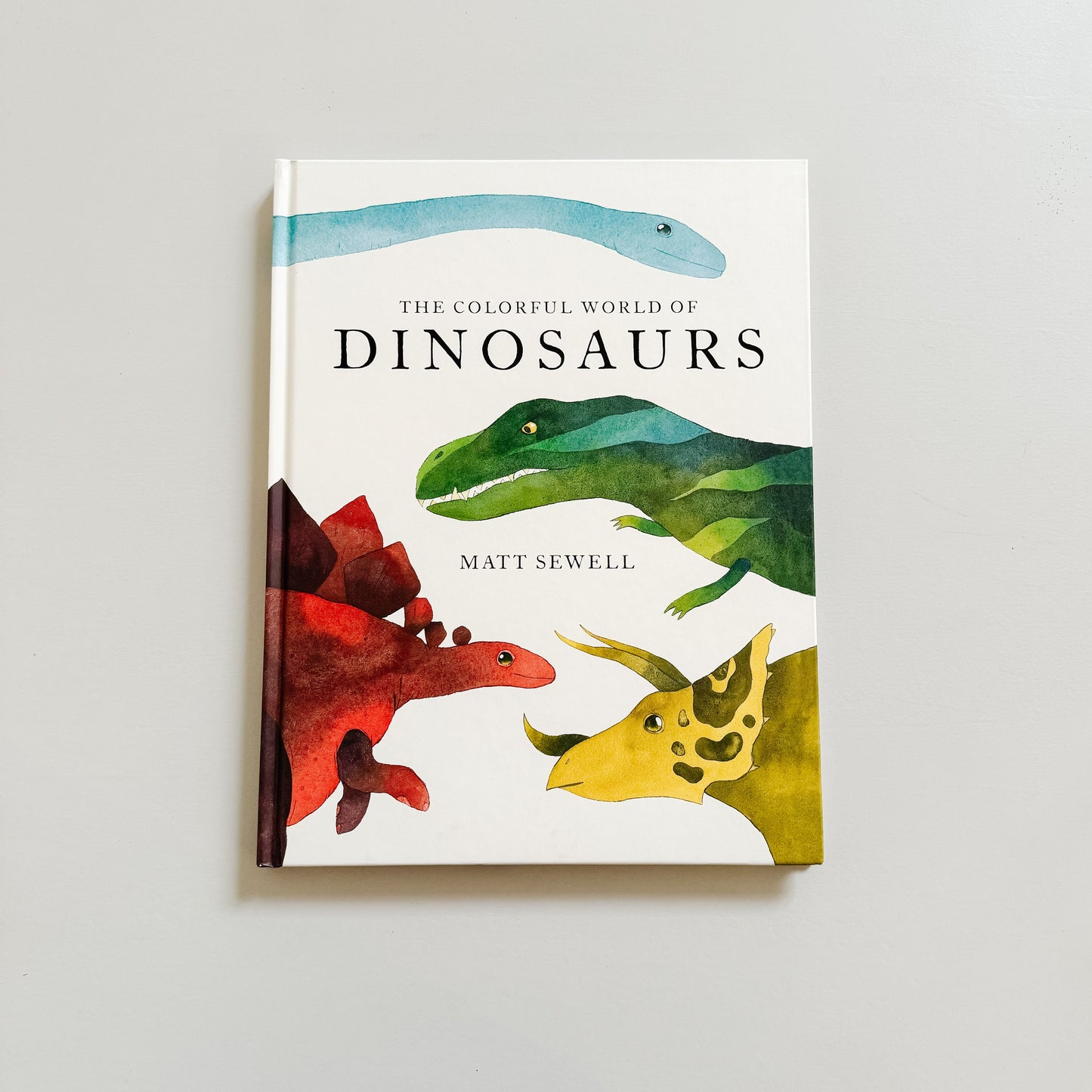 The Colorful World of Dinosaurs