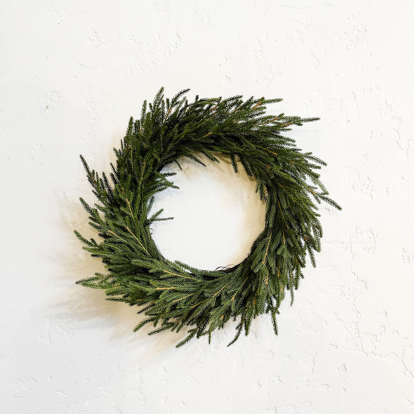 Norfolk Pine Wreath