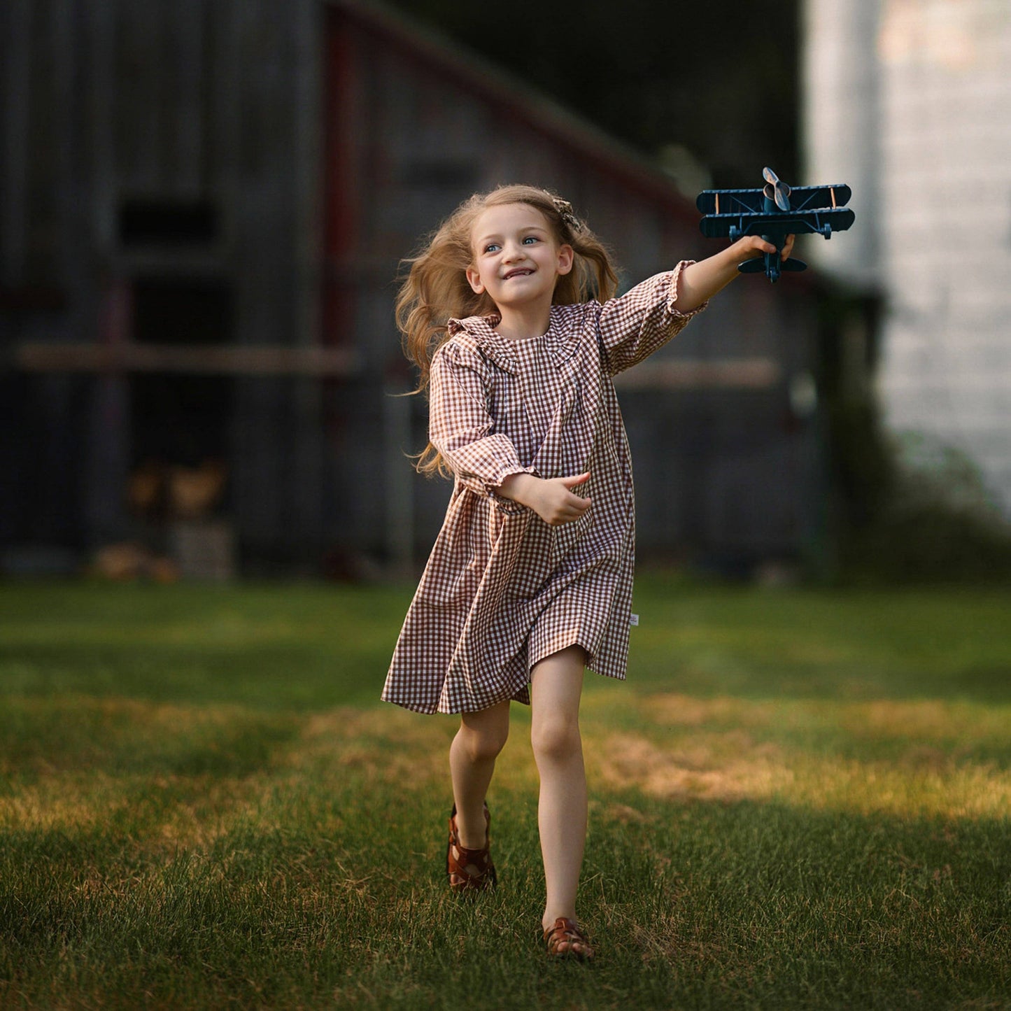 Ruffle Collar Dress | Brown Gingham