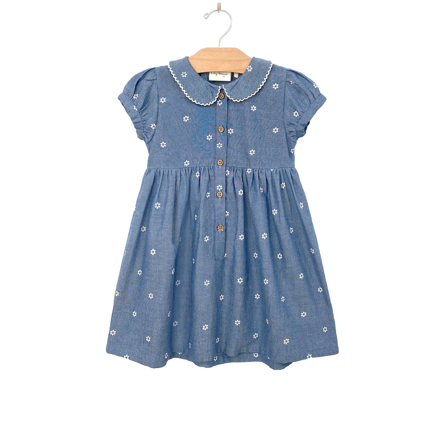 Round Collar Dress- Daisies: 8Y