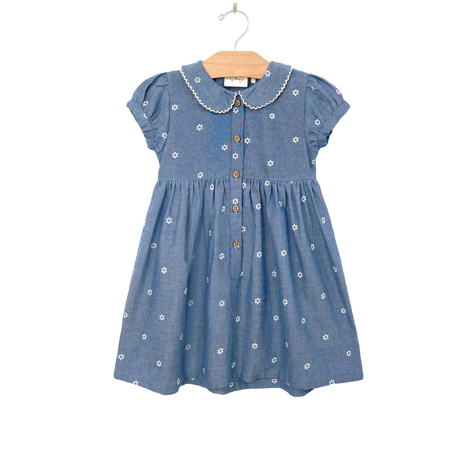 Round Collar Dress- Daisies: 8Y